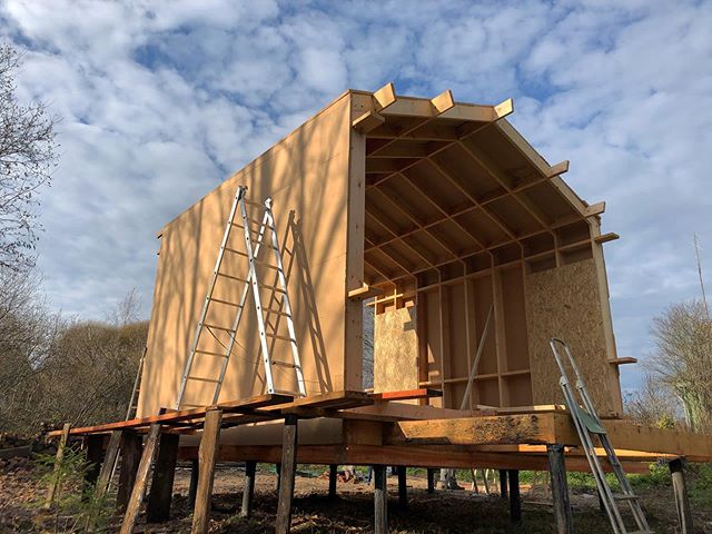 FINHA SH от instagram.com/bertchansky