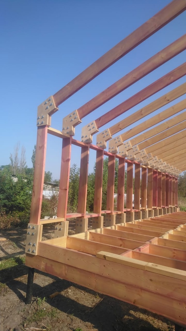 Фото из Краснодара